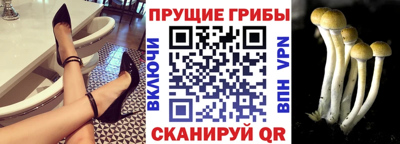 Галлюциногенные грибы прущие грибы Костомукша