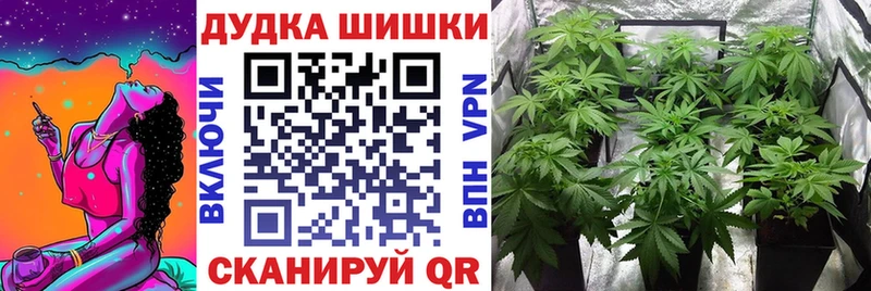 Шишки марихуана планчик  Костомукша 